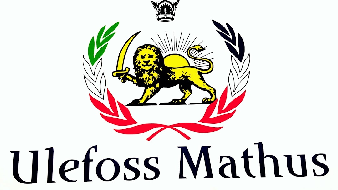 Ulefoss Mathus